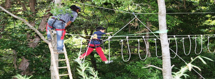 1024/Aamari Resort - Nainital 15.jpg